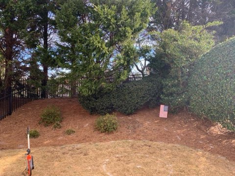 Mutch Backyard Oasis_pic 4_Before Mutch Backyard Oasis_pic 4_Before